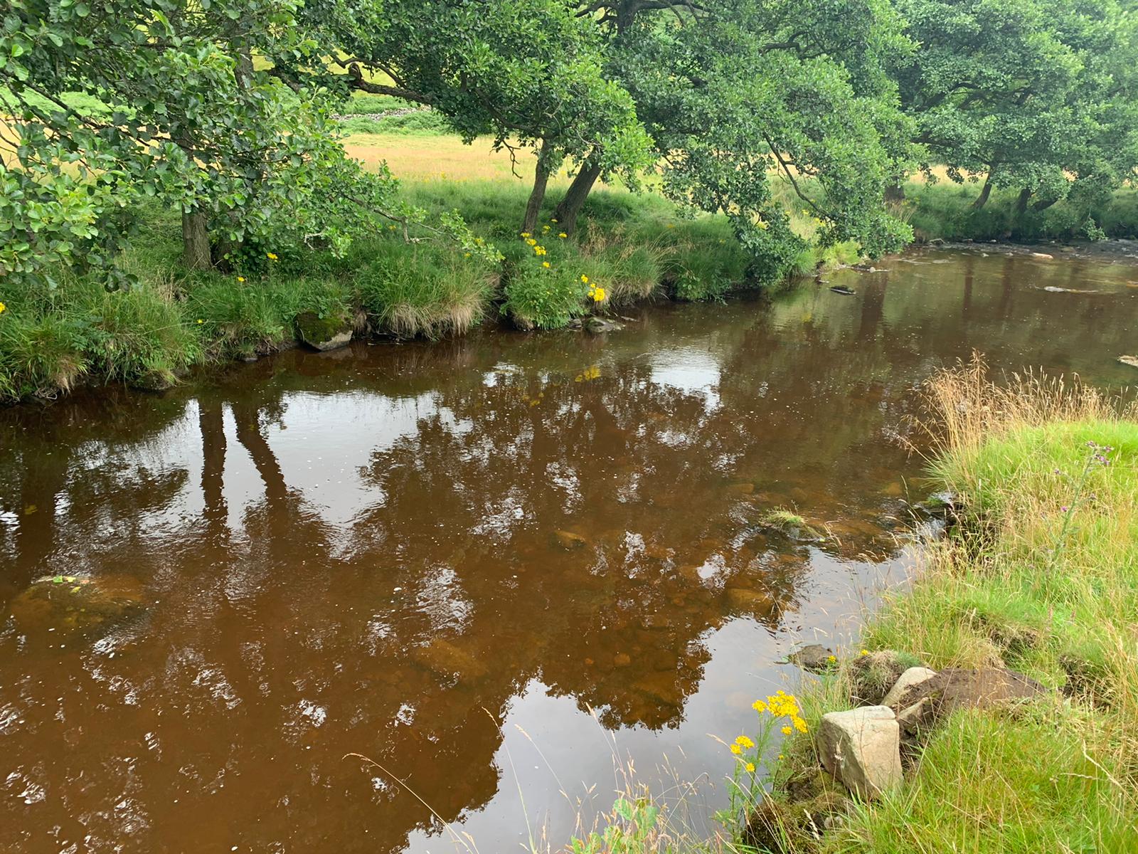 The Power of Water Features in Regenerative Farming