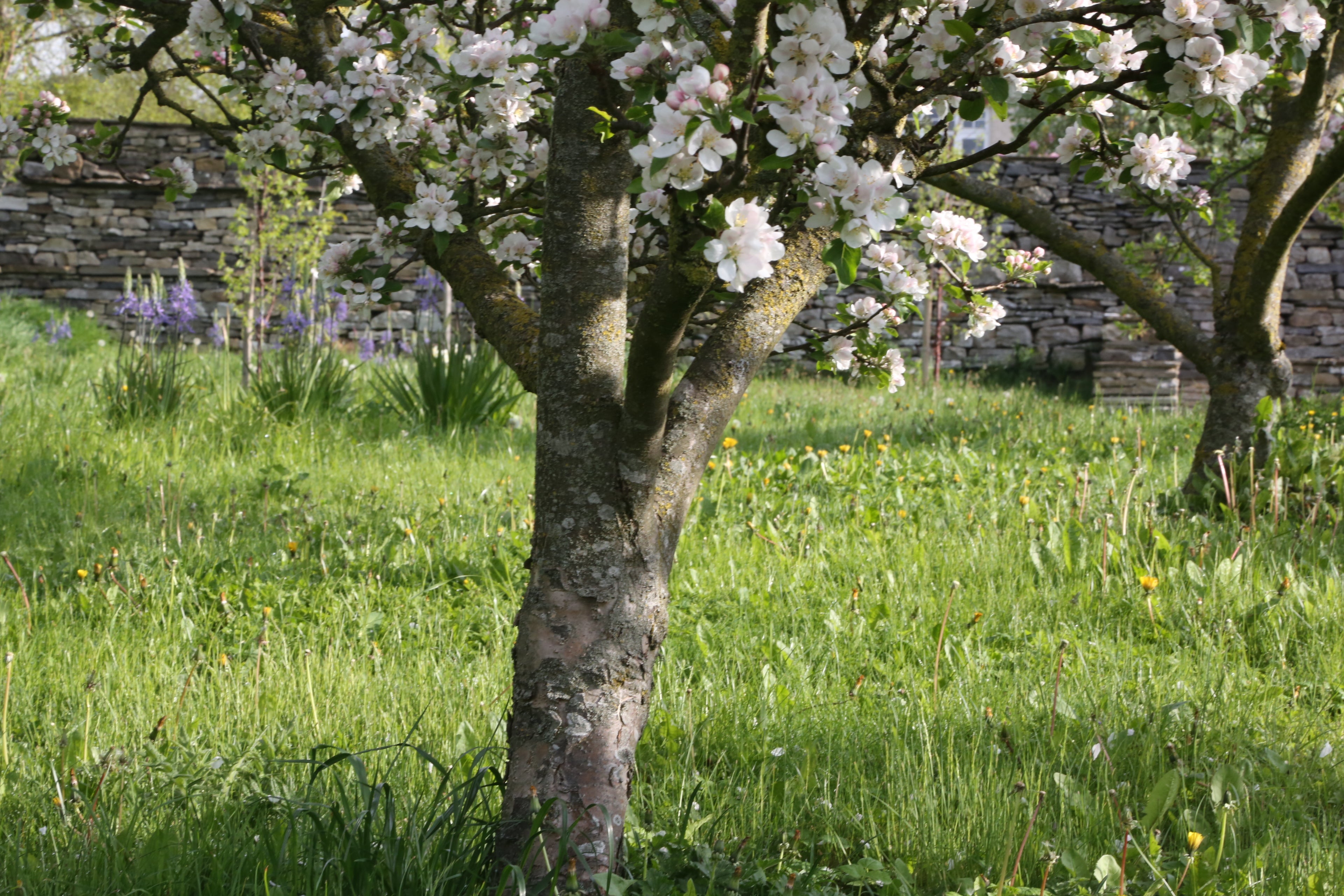 Sustainable Farming Blog: Where and how humans have already made change that benefit biodiversity and what that teaches us about farming in harmony with nature