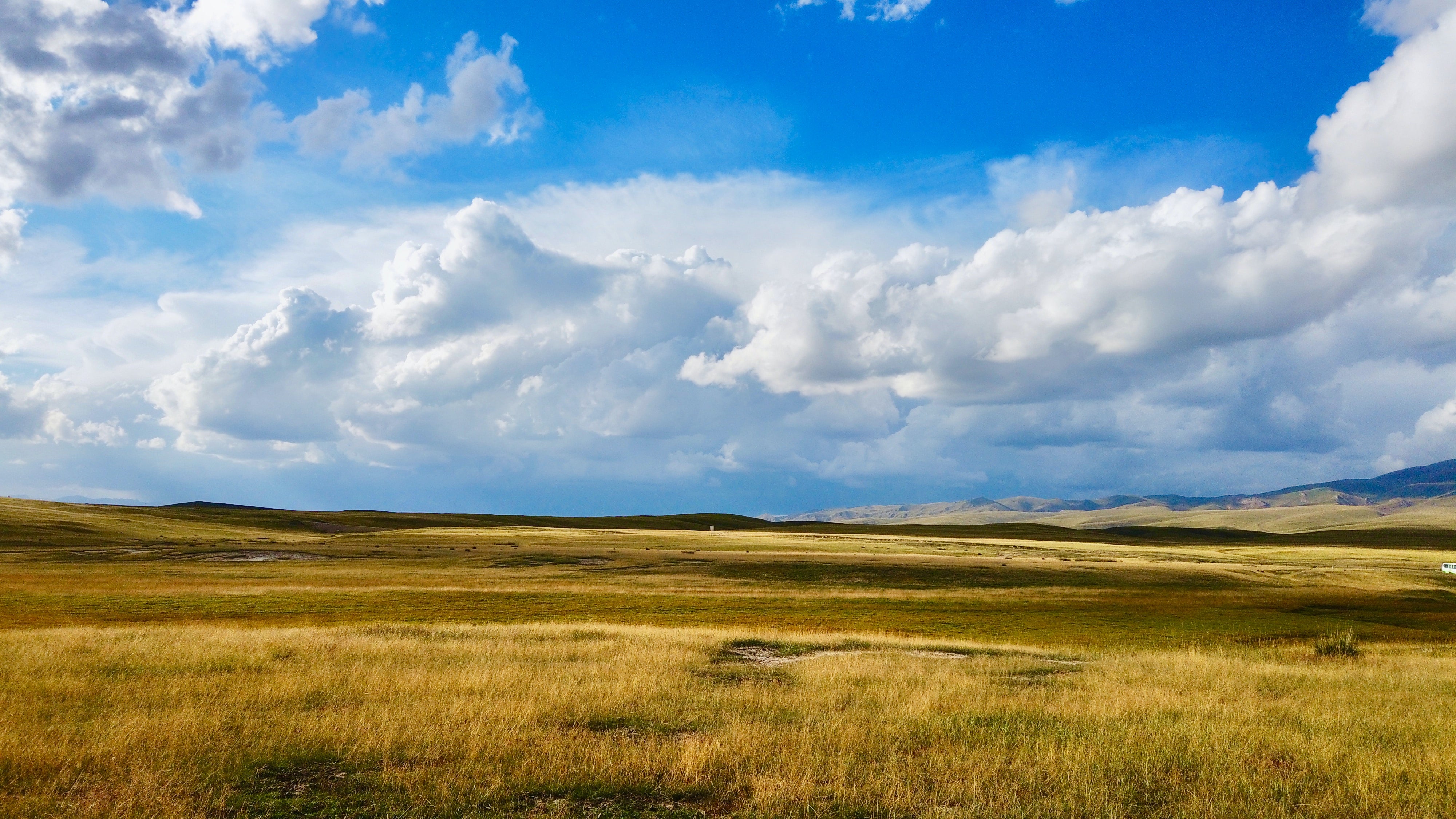 Prairies and Buffalo: A Lesson in Soil Health for Agriculture