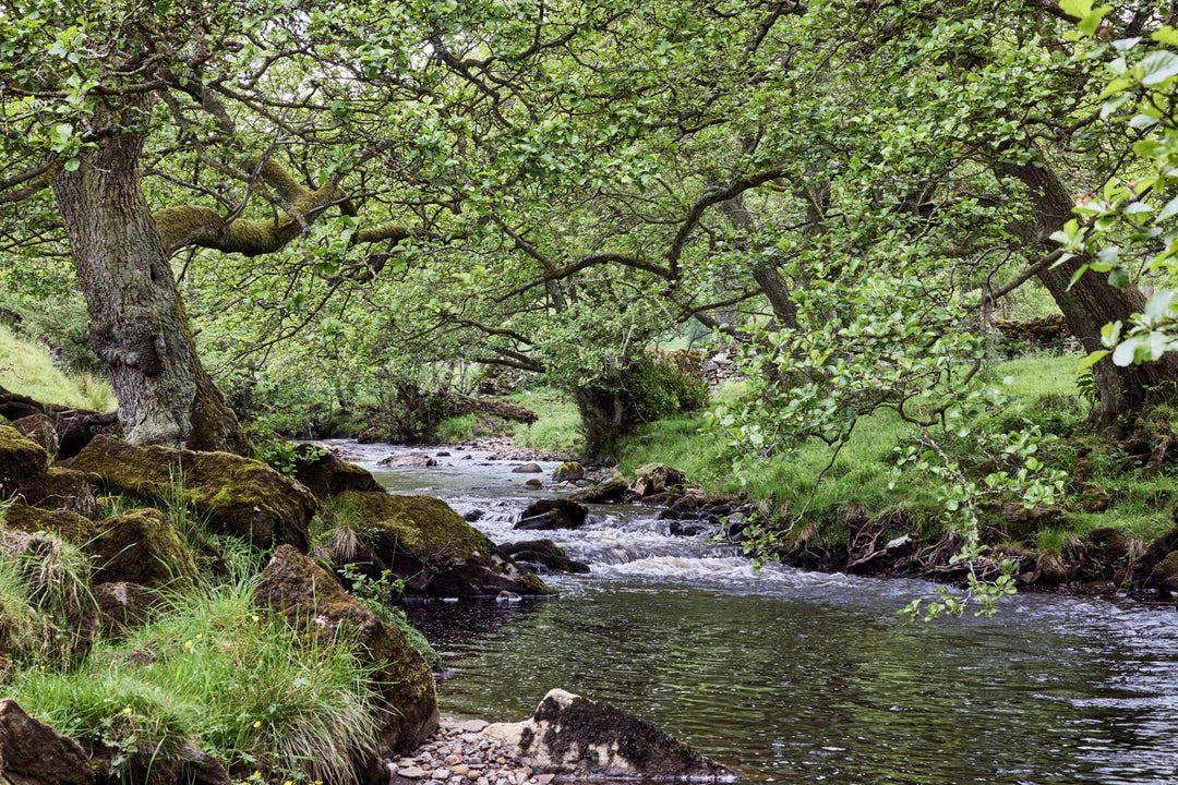 Telfit farm - marske beck