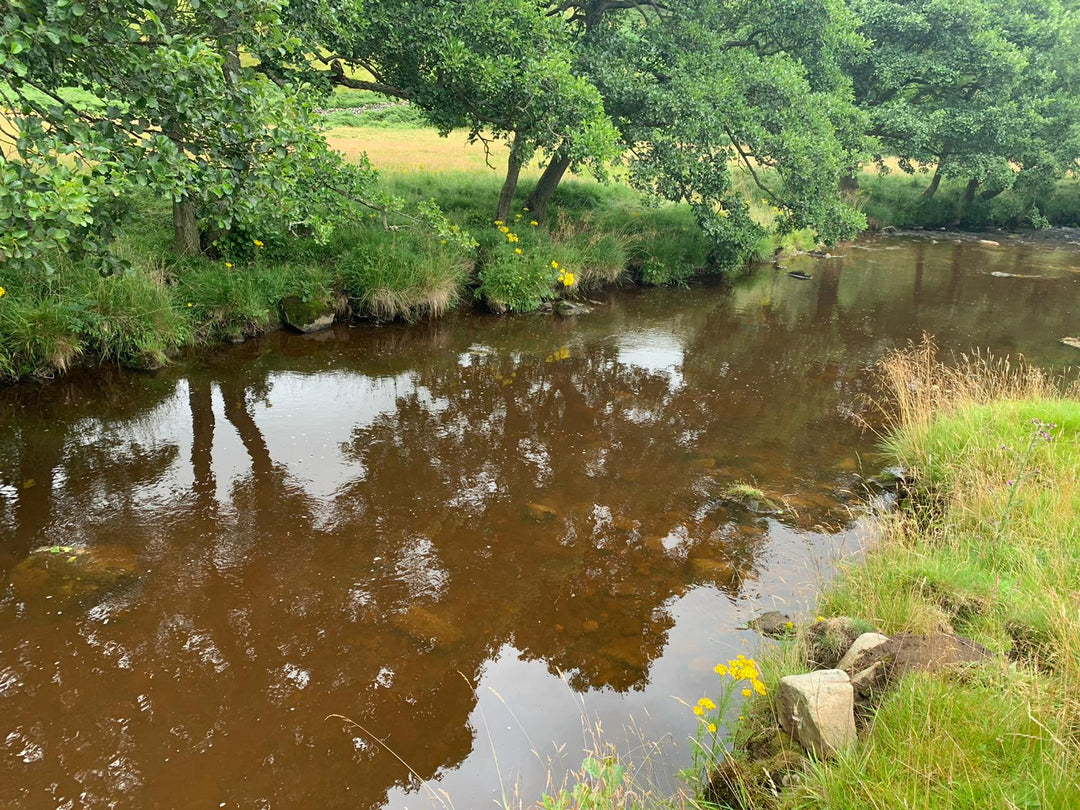 The Power of Water Features in Regenerative Farming - eatTelfit