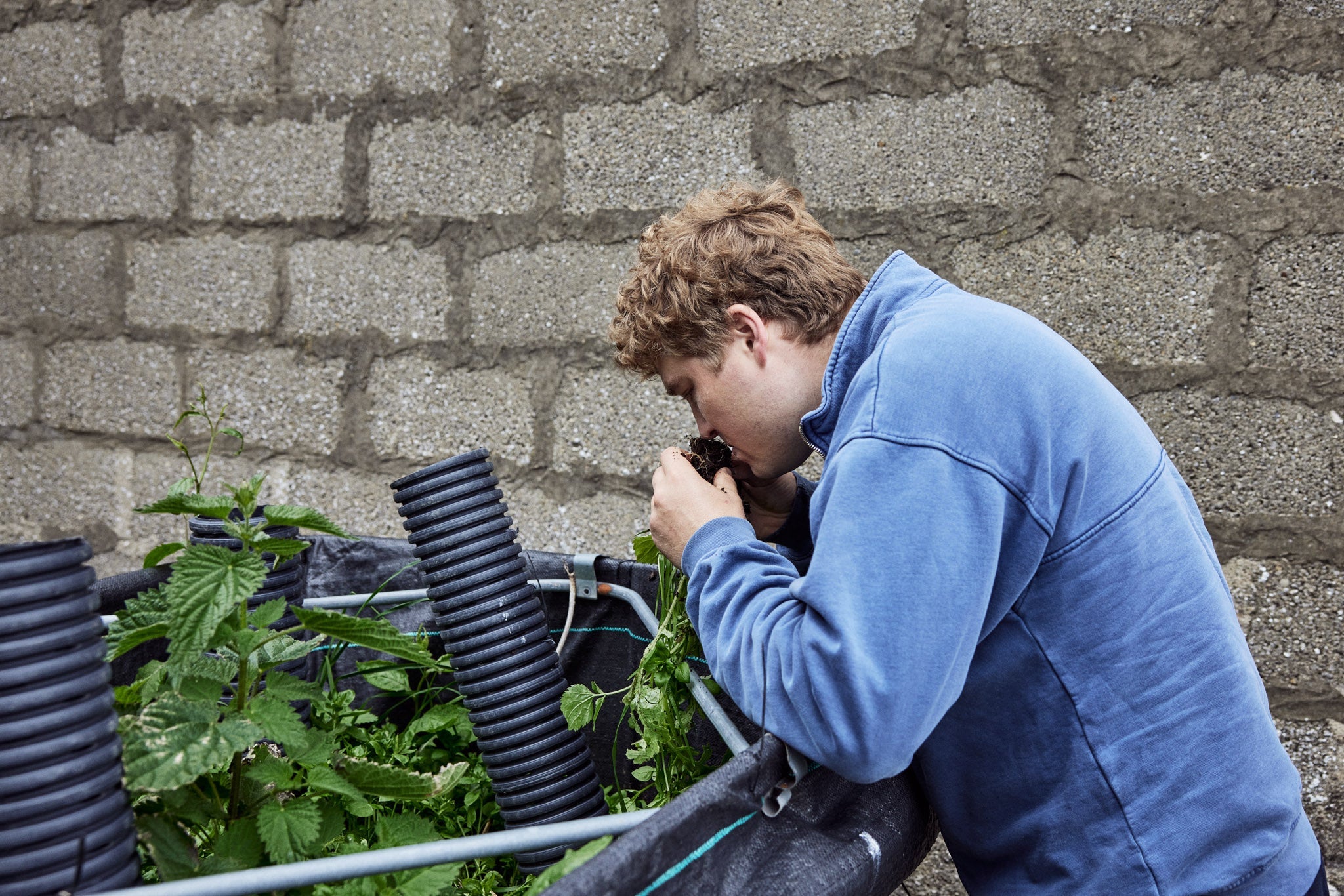 What is a Johnson-Su bioreactor and why do they create compost that benefits our soils? - eatTelfit