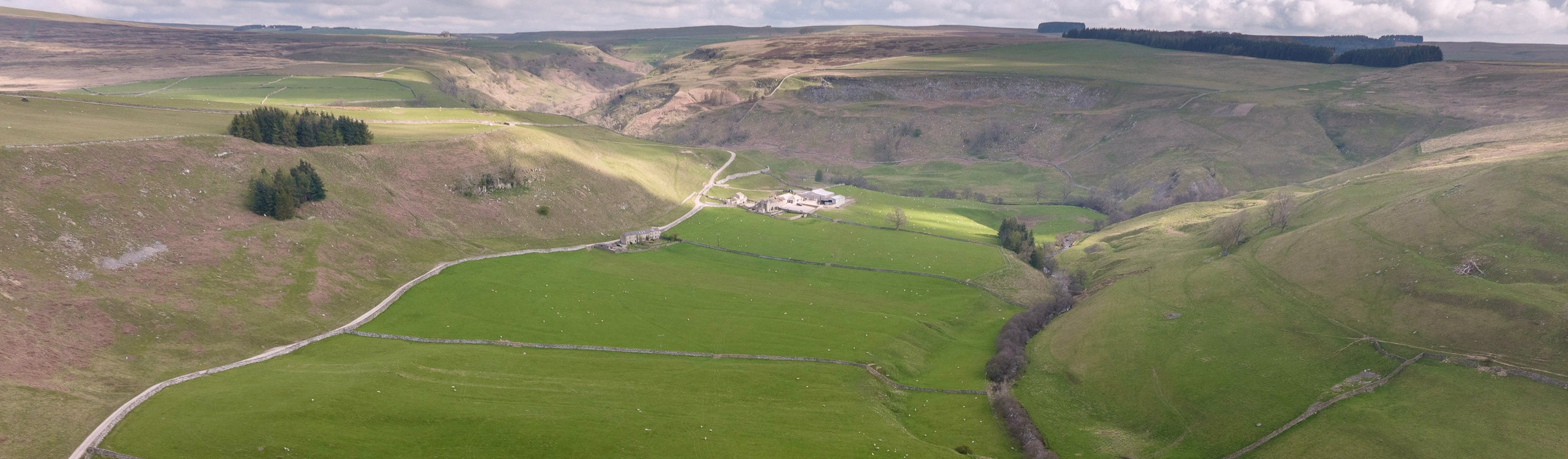 Sustainable Meat - eatTelfit