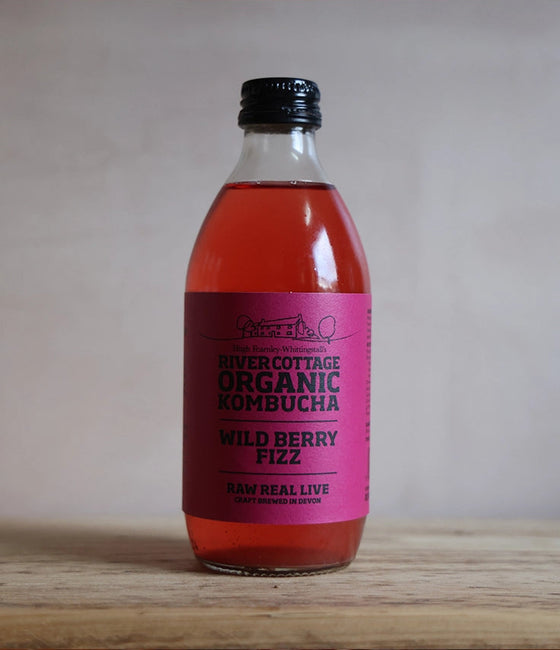 Image of Wild Berry Fizz Kombucha