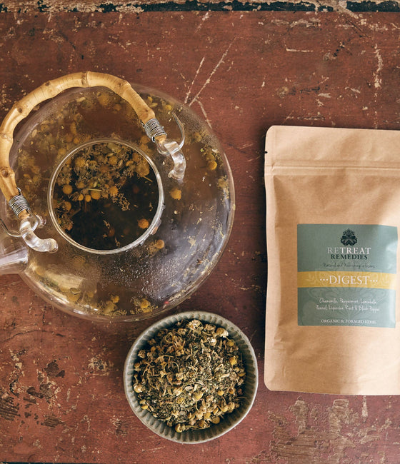 Image of Digest Organic Herbal Tea by Retreat Remedies