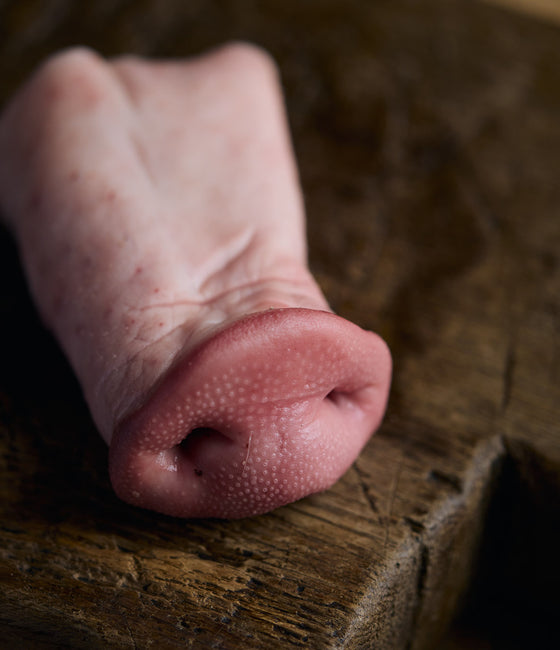 Image of Pigs Snout