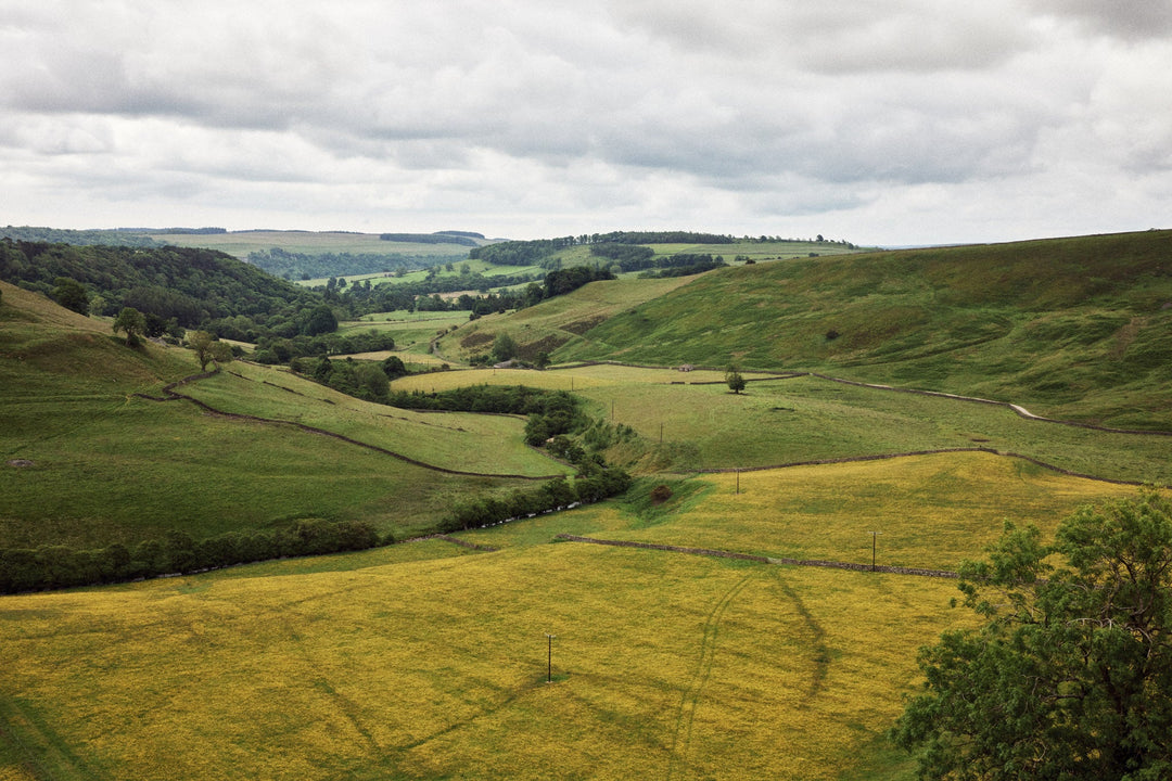 eatTelfit Gift Card - eatTelfit