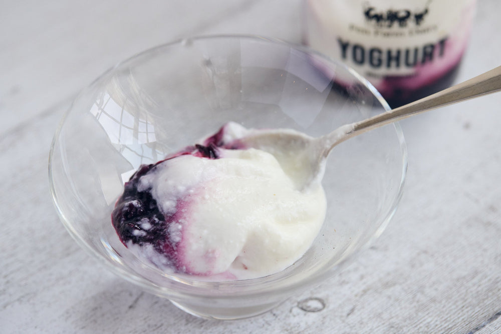 Fen Farm Blackcurrent Skyr Yogurt - eatTelfit