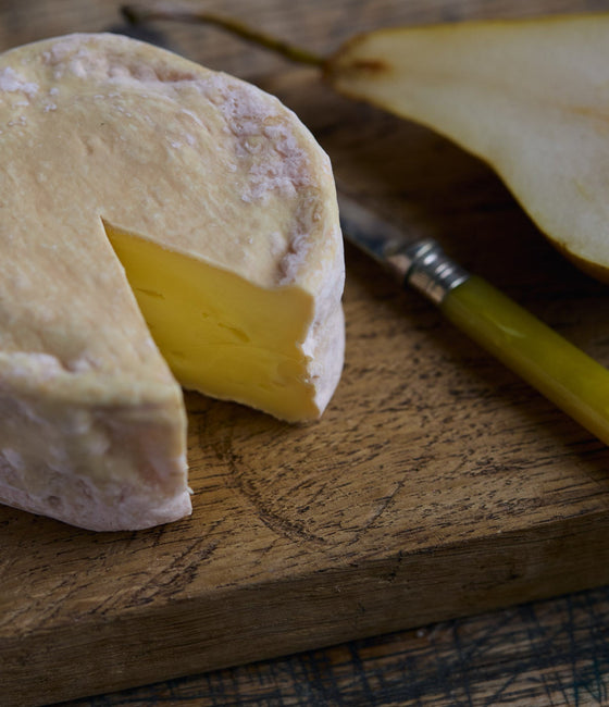 Image of Solstice Cheese