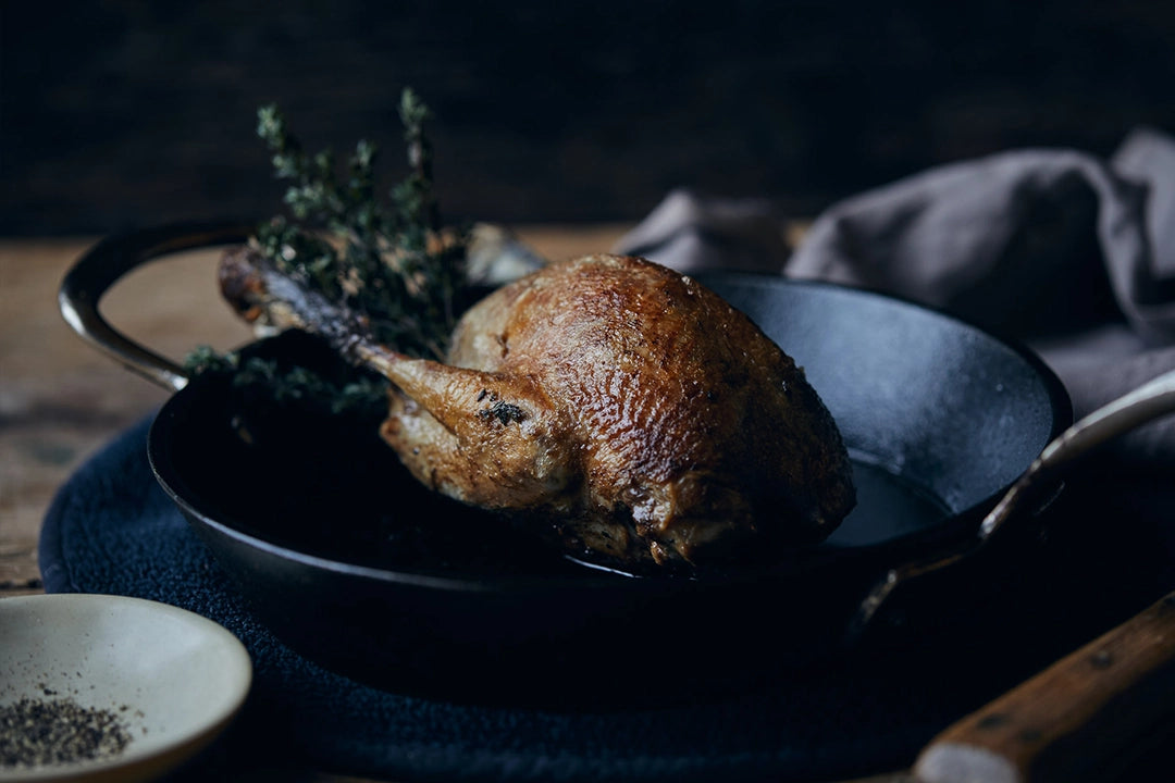 Wild Young Grouse