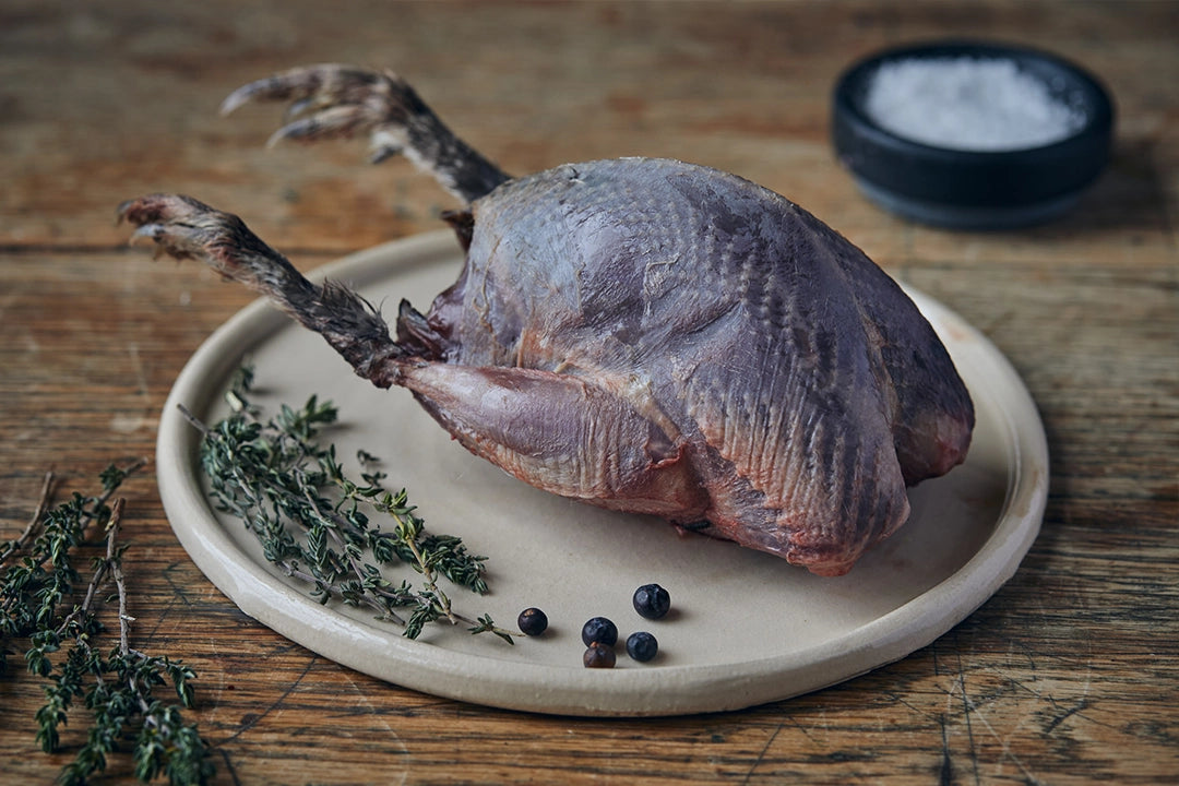 Wild Young Grouse