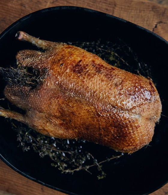 Image of Whole Wild Duck