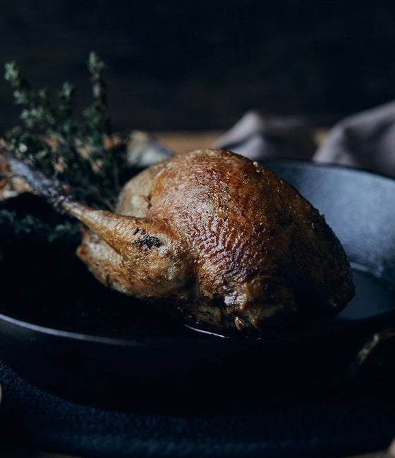 Image of Wild Young Grouse